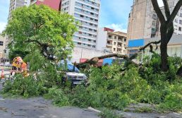 Falta de energia causada por vendaval fez comércio da Grande SP perder R$ 51,7 milhões