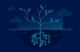 Brasil disputa protagonismo em IA verde com energia limpa e mercado em expansão