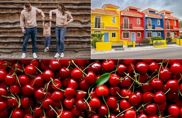 O que o Pinterest aponta como tendência para 2025