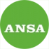 Ansa