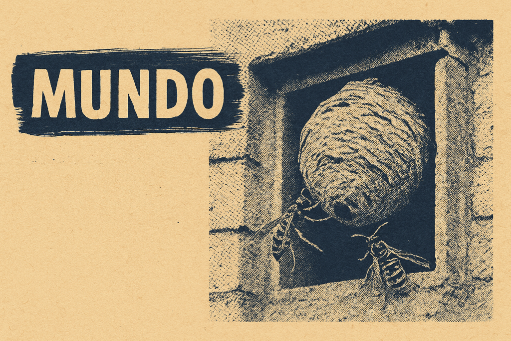 Uma image de notas de 20 reais
