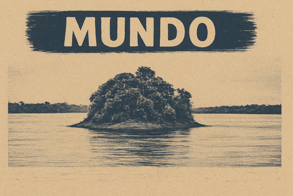Uma image de notas de 20 reais